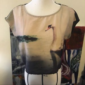 Cropped center back button down shirt